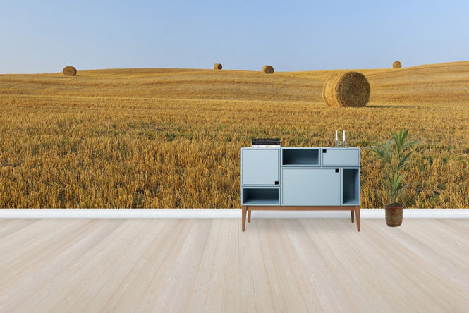 PHOTOWALL / Harvested Wheat Field (e29399)