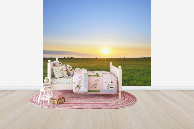 PHOTOWALL / Meadow at Sunset (e40243)