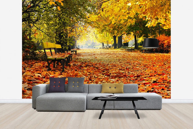 PHOTOWALL / Autumn Park (e40260)