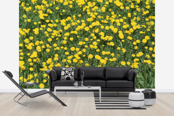 PHOTOWALL / Dandelion and Grass (e24902)