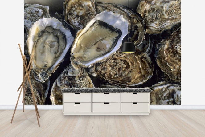 PHOTOWALL / Oysters (e24917)