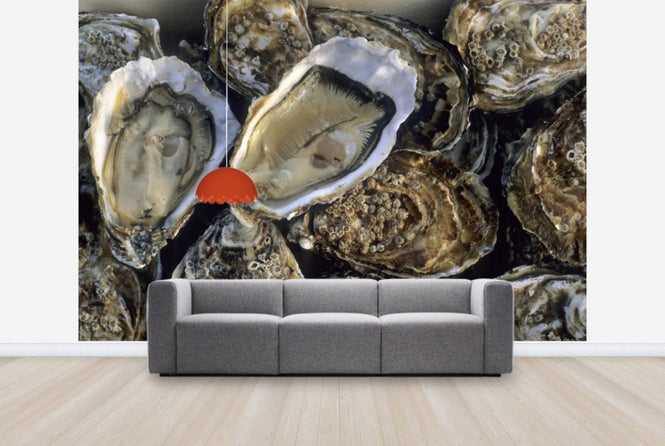 PHOTOWALL / Oysters (e24917)