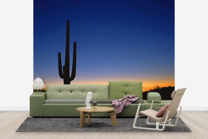 PHOTOWALL / Silhouette of Desert Cactus (e40337)