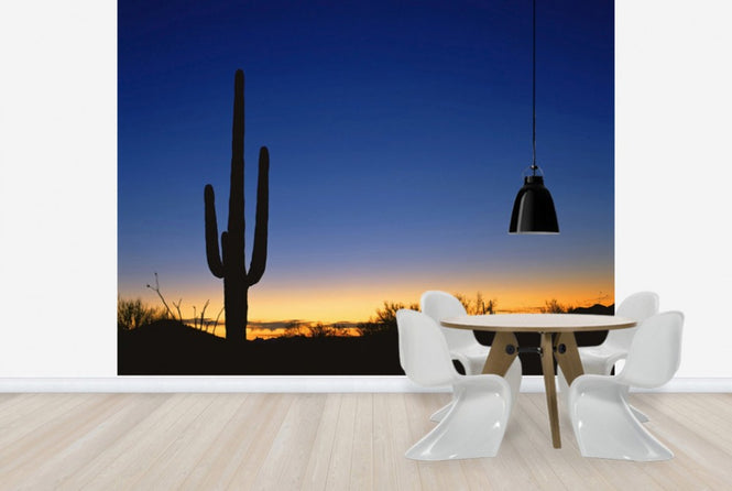 PHOTOWALL / Silhouette of Desert Cactus (e40337)