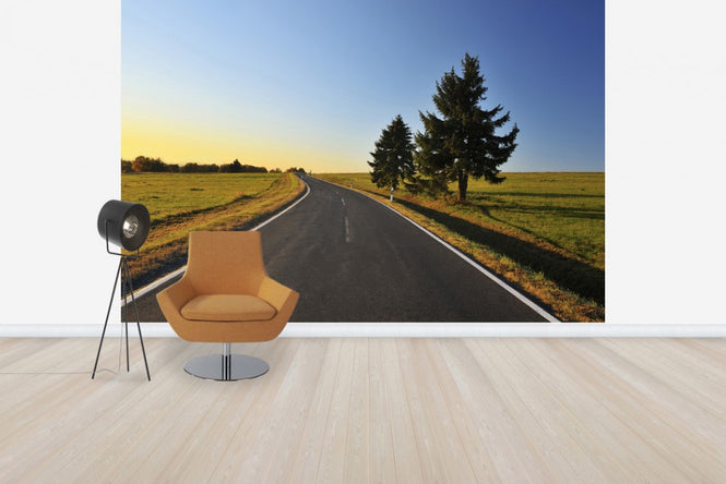 PHOTOWALL / Bavarian Country Road (e40398)
