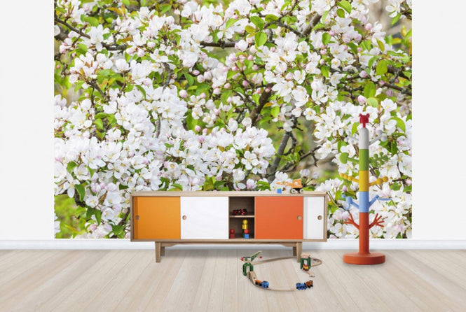 PHOTOWALL / Apple Flowers (e25116)