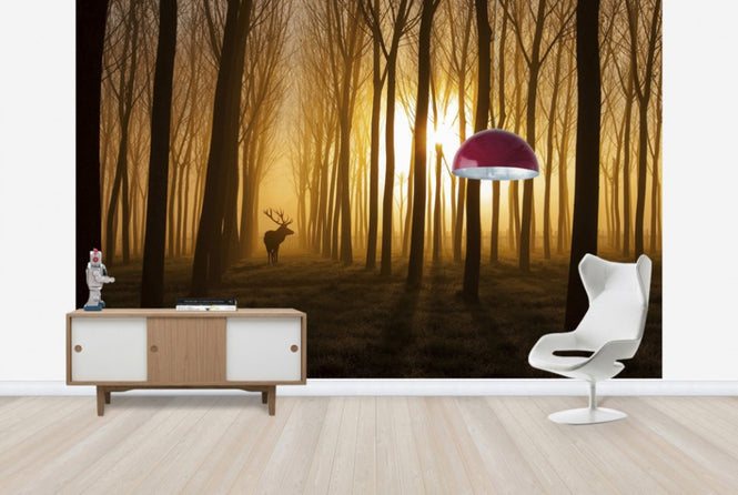 PHOTOWALL / Once Upon a Time (e29454)