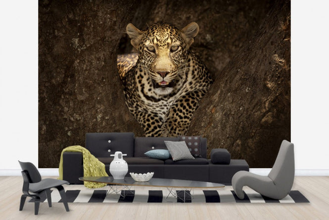 PHOTOWALL / Leopard Resting on a Tree at Masai Mara (e29464)