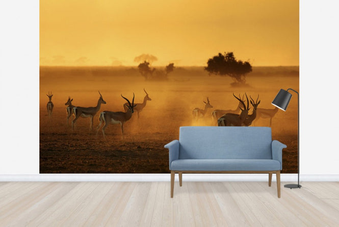 PHOTOWALL / Sentinels (e29480)