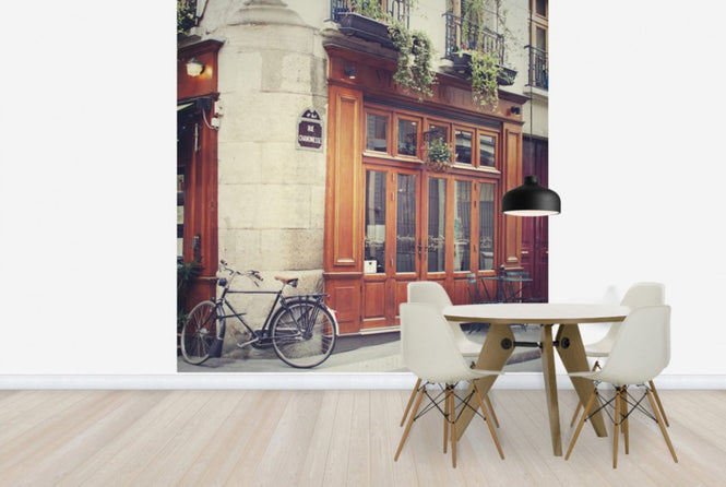 PHOTOWALL / Chanoinessewa Street (e25518)