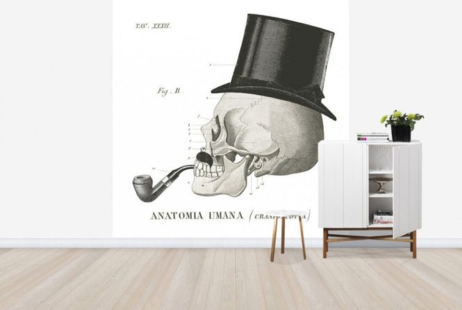 PHOTOWALL / Dandy Bones II (e25531)