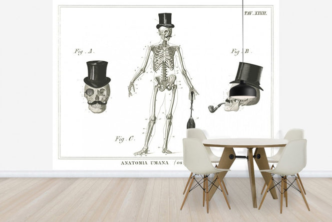 PHOTOWALL / Dandy Bones (e25534)