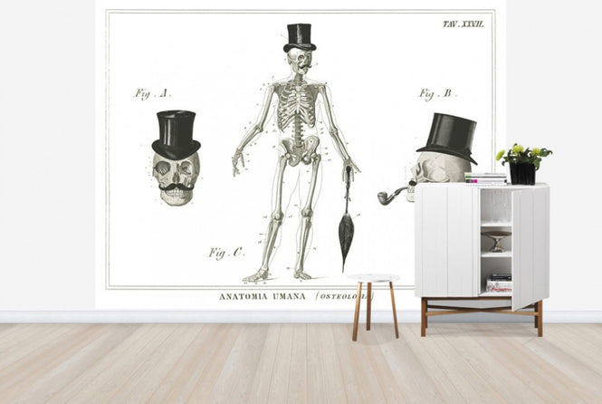 PHOTOWALL / Dandy Bones (e25534)
