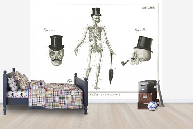 PHOTOWALL / Dandy Bones (e25534)