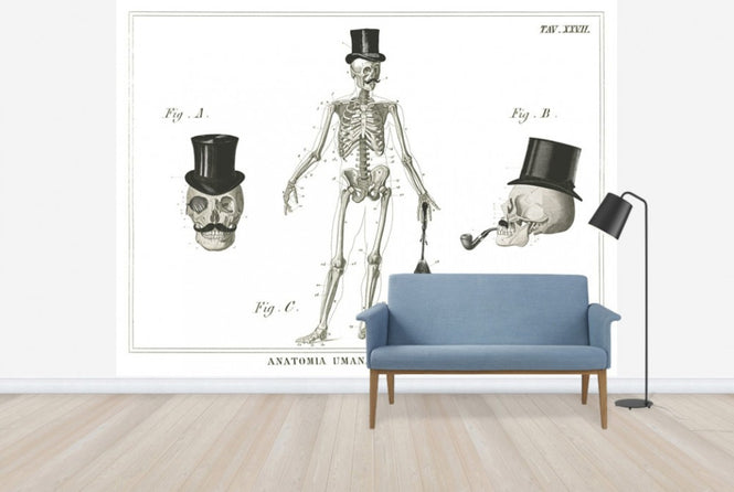 PHOTOWALL / Dandy Bones (e25534)