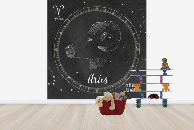 PHOTOWALL / Night Sky Aires (e25614)