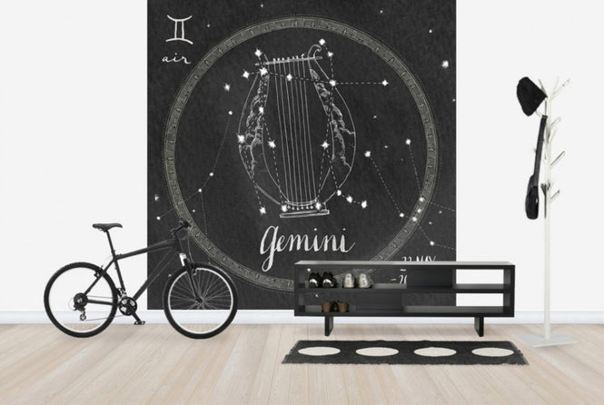 PHOTOWALL / Night Sky Gemini (e25618)