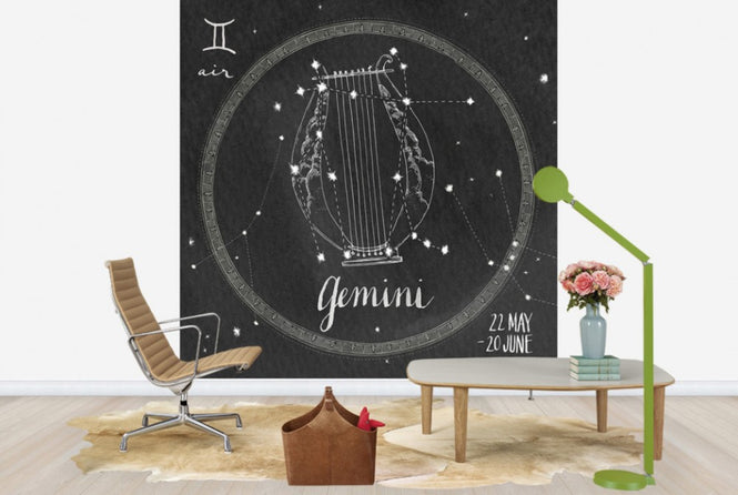 PHOTOWALL / Night Sky Gemini (e25618)