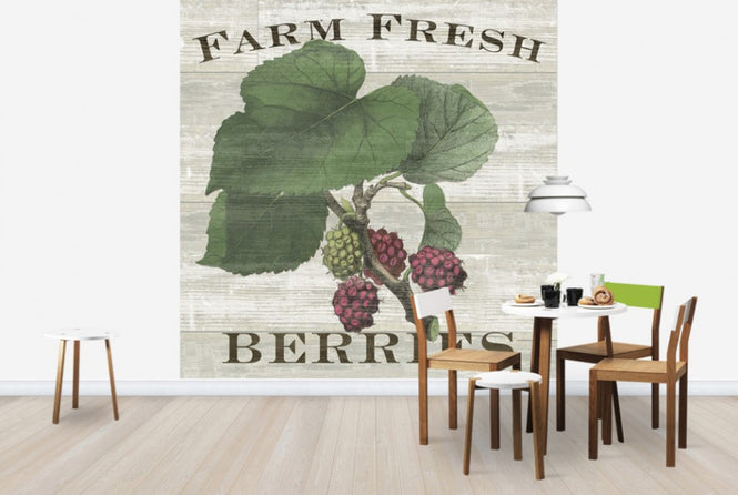 PHOTOWALL / Farm Fresh Raspberries (e25641)