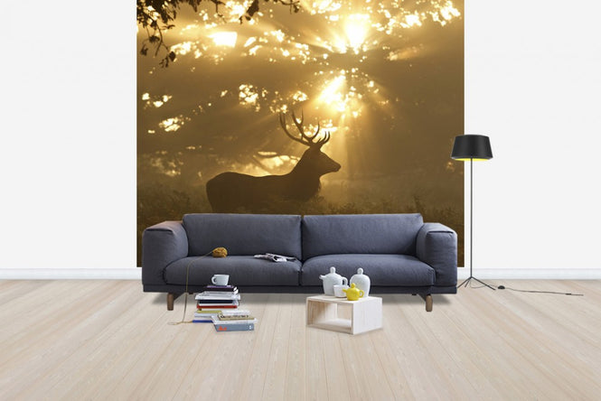 PHOTOWALL / Ghost of the Forest (e29627)