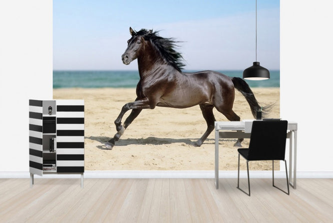 PHOTOWALL / Beach Horse (e29575)
