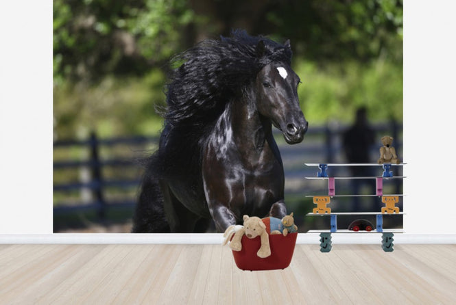 PHOTOWALL / Horse in the Wind (e29583)