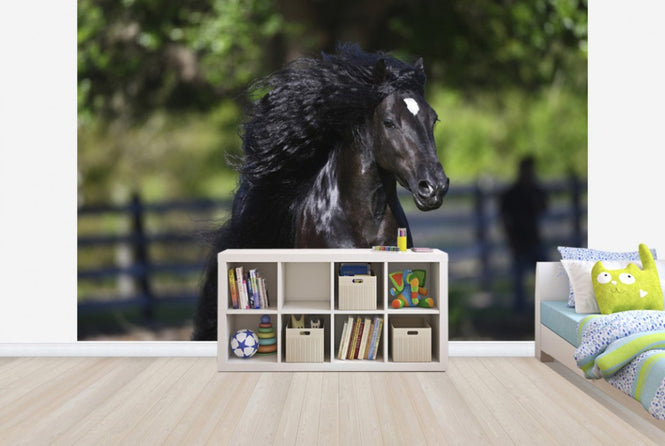 PHOTOWALL / Horse in the Wind (e29583)