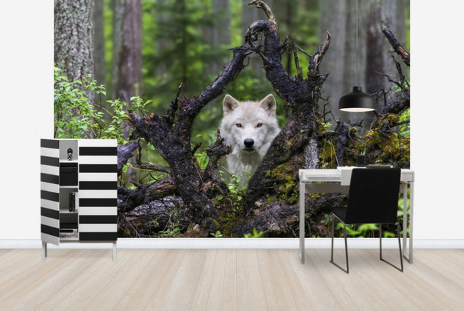 PHOTOWALL / Wolf (e29683)