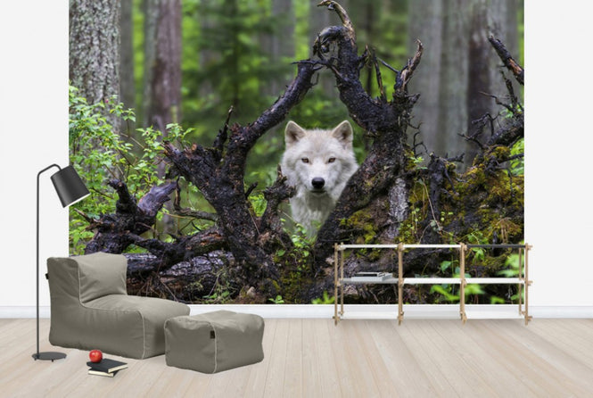 PHOTOWALL / Wolf (e29683)