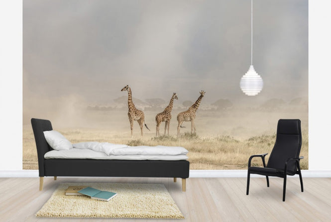 PHOTOWALL / Weathering the Amboseli Dust Devils (e29711)
