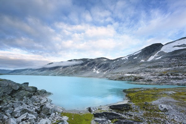 Zoom