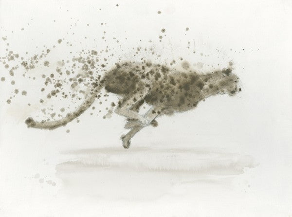 Zoom