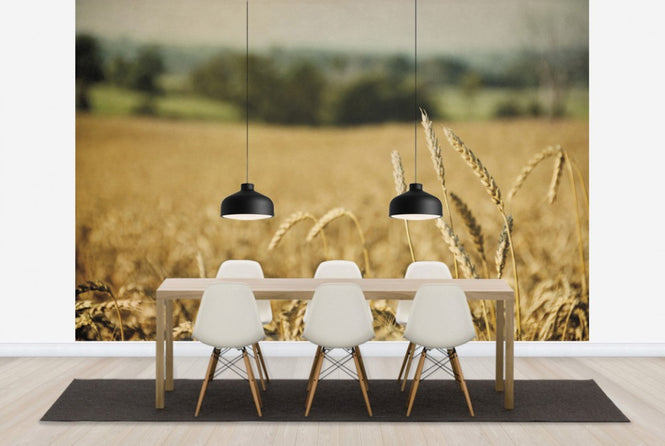 PHOTOWALL / Blissful Country (e25905)