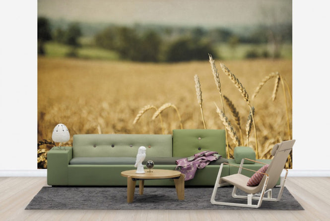 PHOTOWALL / Blissful Country (e25905)