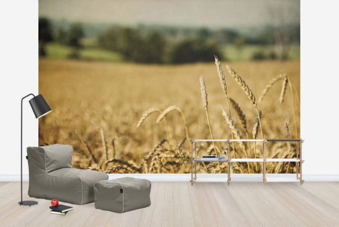 PHOTOWALL / Blissful Country (e25905)