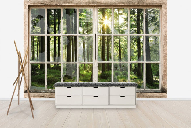 PHOTOWALL / Sunset in Forest Through Broken Window (e30160)