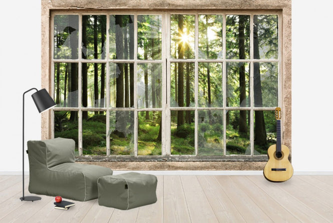 PHOTOWALL / Sunset in Forest Through Broken Window (e30160)