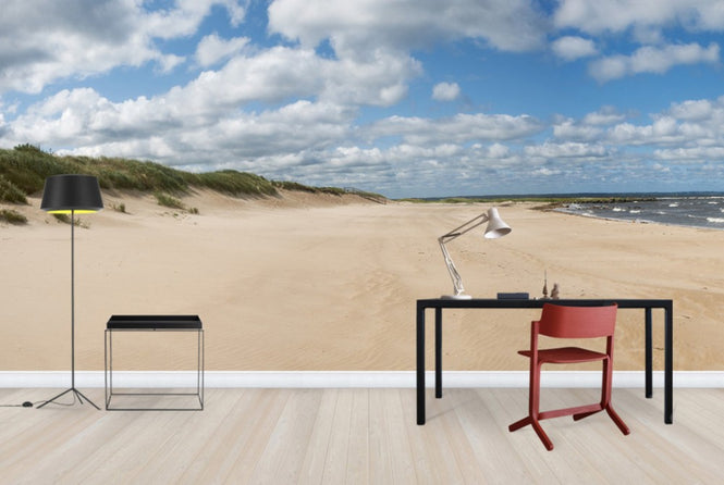 PHOTOWALL / Vejbystrand in Skåne, Sweden (e40460)