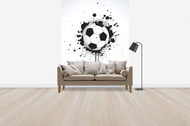 PHOTOWALL / Ball Through Wall (e30304)