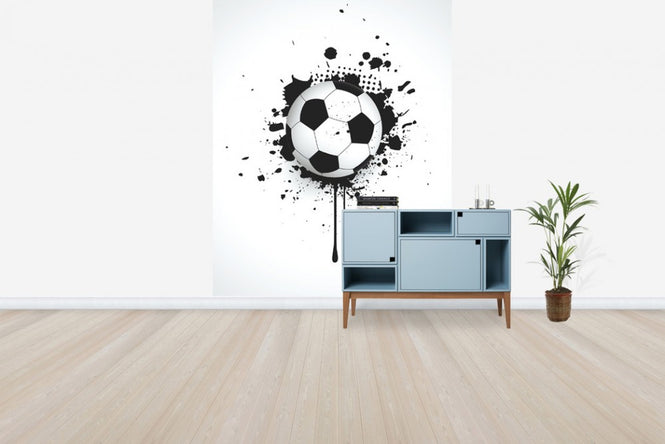 PHOTOWALL / Ball Through Wall (e30304)