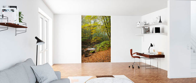 PHOTOWALL / Swedish Beech Forest II (e40491)