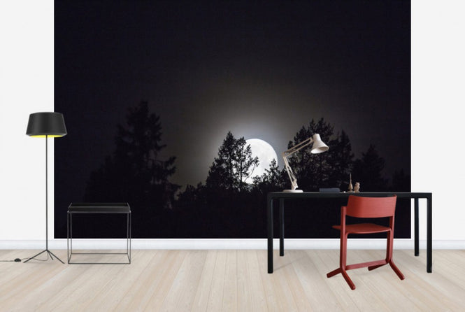 PHOTOWALL / Moonlight over Medelpad, Sweden, Europe (e40465)