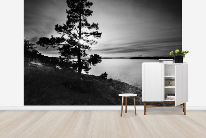 PHOTOWALL / Smådalarö, Sweden, Europe (e40468)