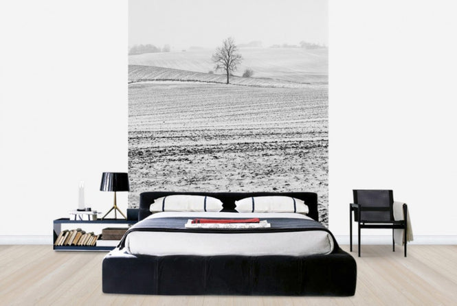 PHOTOWALL / Fields in Anderslöv, Sweden (e40514)