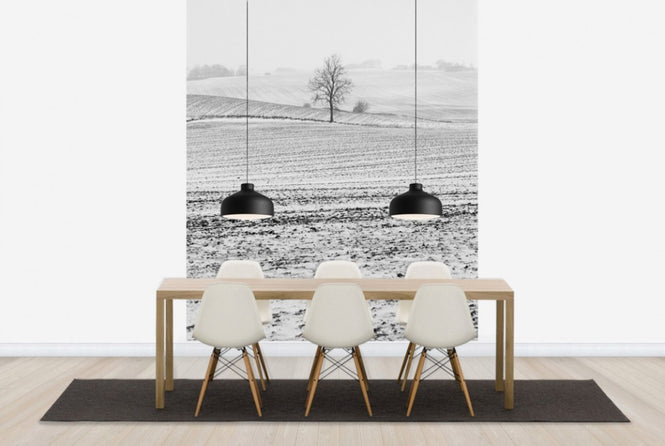 PHOTOWALL / Fields in Anderslöv, Sweden (e40514)