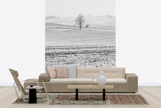 PHOTOWALL / Fields in Anderslöv, Sweden (e40514)