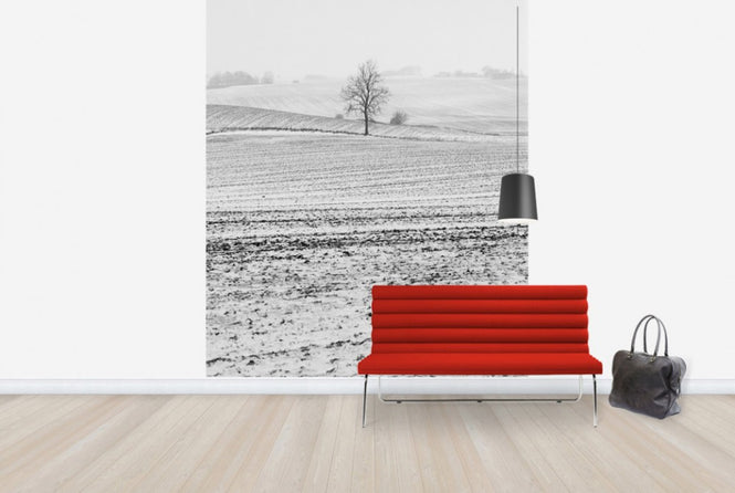 PHOTOWALL / Fields in Anderslöv, Sweden (e40514)