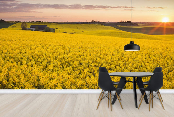 PHOTOWALL / Fields of Klågerup, Sweden (e40515)