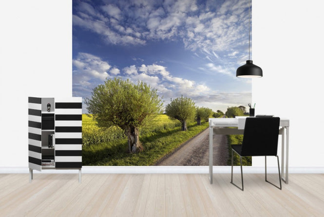 PHOTOWALL / Willow in Skåne, Sweden (e40564)