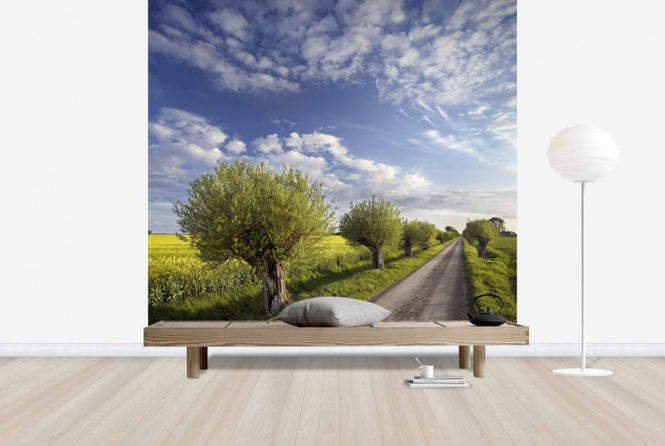 PHOTOWALL / Willow in Skåne, Sweden (e40564)